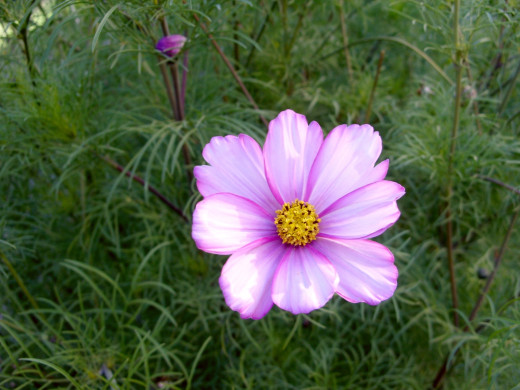 431796 (a): :1600x1200